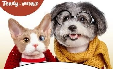 甜町猫舍.宠物馆（朝阳大悦城店）