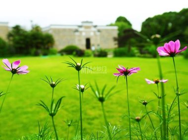 北京都市体验新玩法：从个人工作室到上门服务，一种无套路的养生松弛感