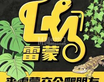 雷蒙爬宠（东坝店）