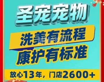 圣宠宠物