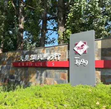 天星调良马术
