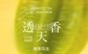 淡马茶坊（北京龙湖亦庄天街店）