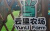 云里农场（金宝汇购物中心店）