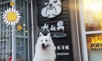 犬&窝宠物生活馆（石景山店）