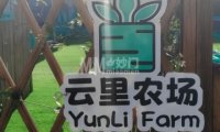 云里农场（金宝汇购物中心店）