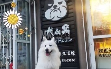 犬&窝宠物生活馆（石景山店）