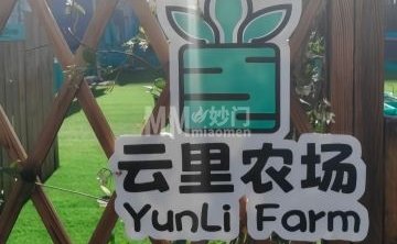 云里农场（金宝汇购物中心店）