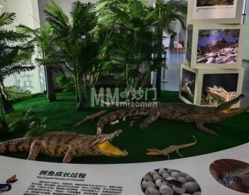 北京鳄鱼欢乐谷