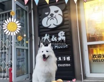 犬&窝宠物生活馆（石景山店）
