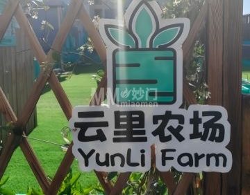 云里农场（金宝汇购物中心店）