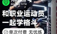 北京猫力仕格斗健身运动馆
