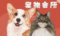 邂逅精致宠物会所