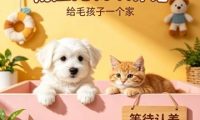 杨庄湃多阁宠物认养馆（古城店）