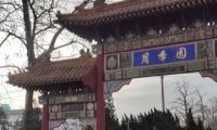 首钢园-月季园