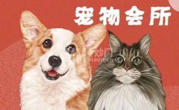 邂逅精致宠物会所