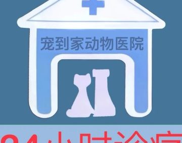 宠到家24h动物医院（安河家园店）