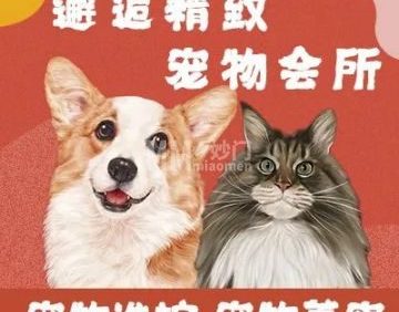 邂逅精致宠物会所