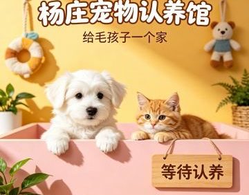 杨庄湃多阁宠物认养馆（古城店）