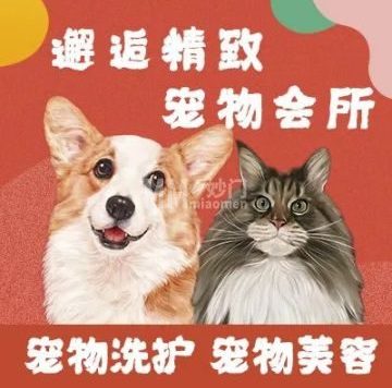 邂逅精致宠物会所