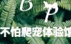 不怕爬宠体验馆