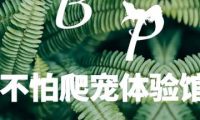 不怕爬宠体验馆