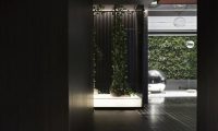 夏季养生新思路–北京抓龙筋调理助力改善亚健康