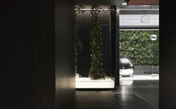 夏季养生新思路–北京抓龙筋调理助力改善亚健康