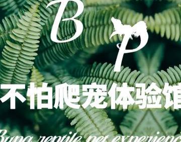 不怕爬宠体验馆