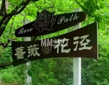 蔷薇花径