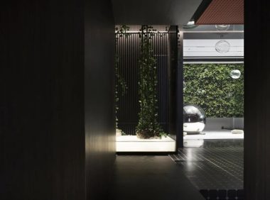 夏季养生新思路–北京抓龙筋调理助力改善亚健康