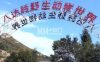 八达岭野生动物世界