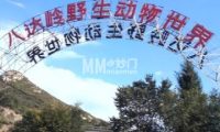 八达岭野生动物世界