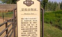 蒙梭动物园