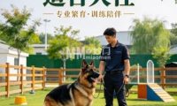 道合犬社