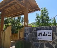 南山茶咖