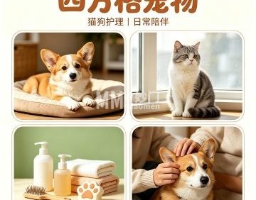 四方格宠物
